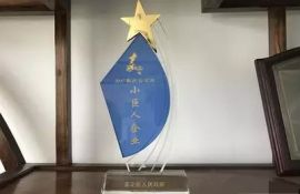 意朗實(shí)業(yè)榮膺“2017年度嘉定區(qū)小巨人企業(yè)” !