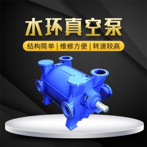水環(huán)真空泵