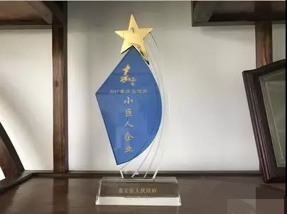 1577764400497866.jpg 意朗實(shí)業(yè)榮膺“2017年度嘉定區(qū)小巨人企業(yè)” !.jpg