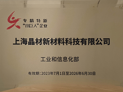 工信部“專(zhuān)精特新”小巨人企業(yè)